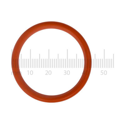 O-ringen O-ringen