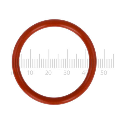 O-ringen O-ringen