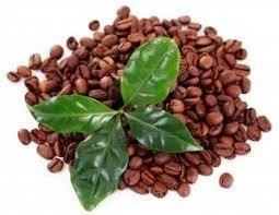 Koffiebonen Koffiebonen