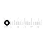 O-RING 0040-20 EPDM