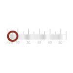 O-ring D=7mm